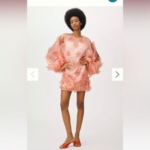 Maeve for Anthropologie 3D Floral sheer tunic blouse / dress